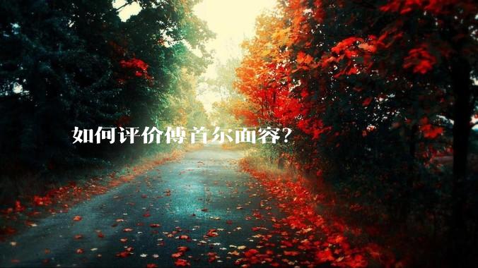 如何评价傅首尔面容?