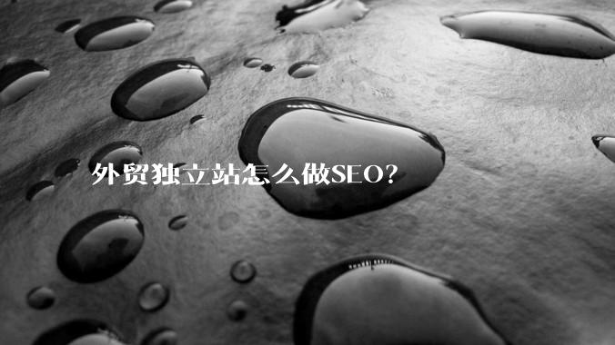外贸独立站怎么做SEO?