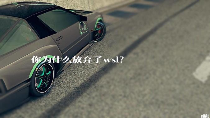 你为什么放弃了wsl?