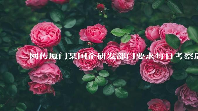 网传厦门某国企研发部门要求每日考察后端 400 行,前端 1000 行代码量,如属实,这个考核合理吗?