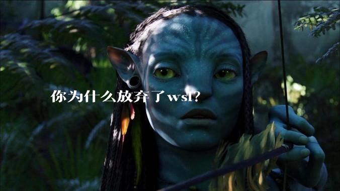 你为什么放弃了wsl?