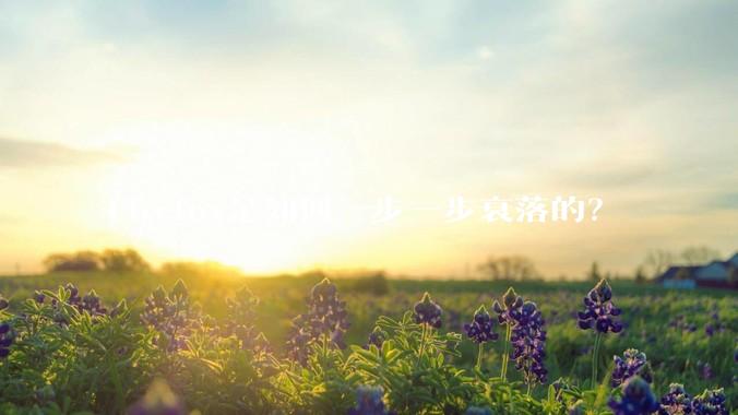Firefox是如何一步一步衰落的?