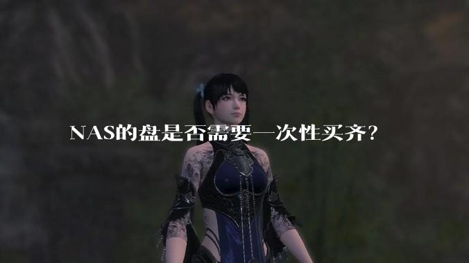 NAS的盘是否需要一次性买齐?