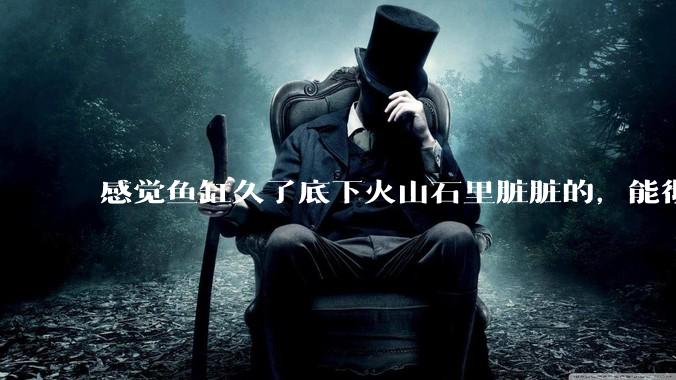 感觉鱼缸久了底下火山石里脏脏的,能彻底换水清理一遍不?
