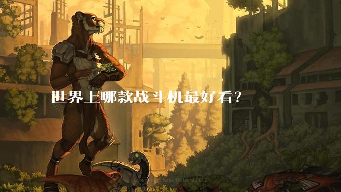 世界上哪款战斗机最好看?