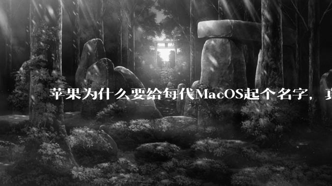 苹果为什么要给每代MacOS起个名字，真以为人们记得住分得清吗？