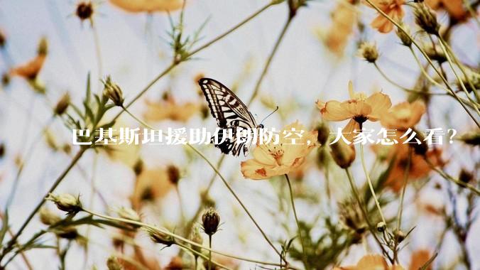 巴基斯坦援助伊朗防空,大家怎么看?