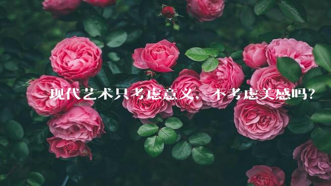现代艺术只考虑意义、不考虑美感吗?