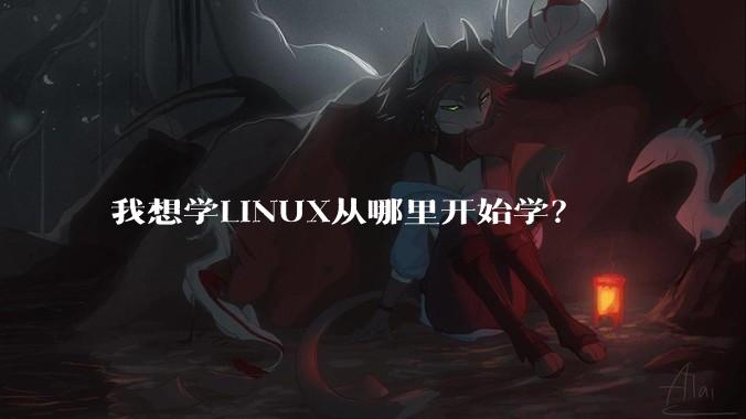 我想学LINUX从哪里开始学?