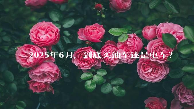 2025年6月,到底买油车还是电车?