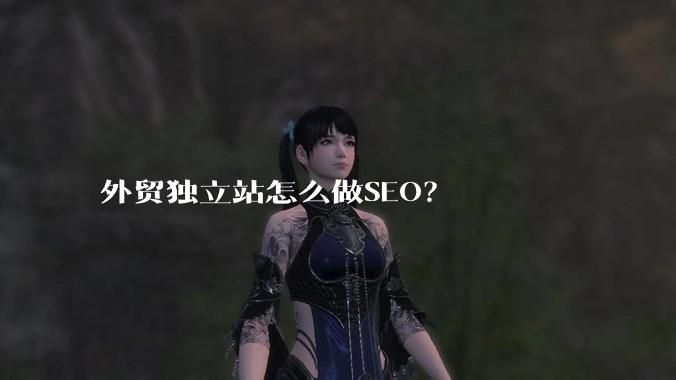 外贸独立站怎么做SEO?