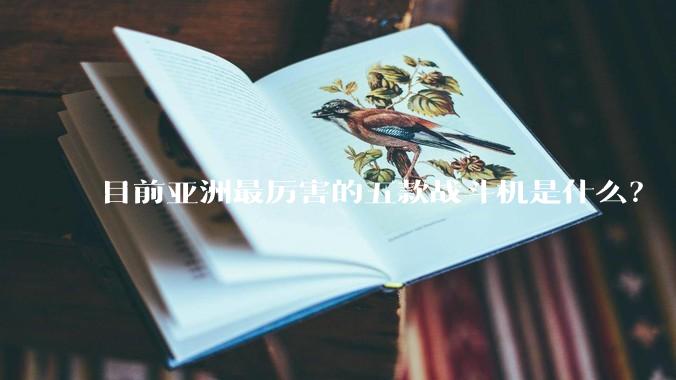 目前亚洲最厉害的五款战斗机是什么?