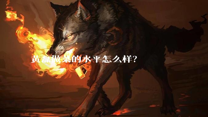 黄磊做菜的水平怎么样?