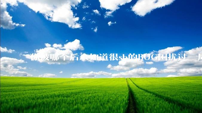 你被哪个后来知道很sb的BUG困扰过一周以上吗?